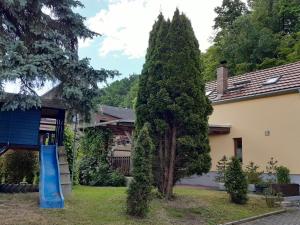 a large tree next to a house with a blue slide at Modern holiday home on the outskirts of Saxon Switzerland with covered terrace in Hohnstein