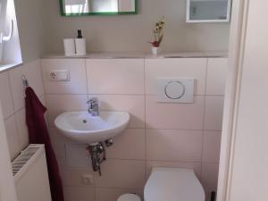 ein Bad mit einem WC und einem Waschbecken in der Unterkunft Modern holiday home on the outskirts of Saxon Switzerland with covered terrace in Hohnstein