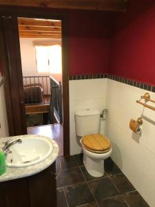 bagno con servizi igienici e lavandino di Casa Pedragude. Turismo rural. a Pantón