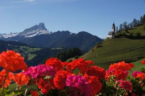 een bos bloemen op een heuvel met een kerk bij Miribunghof in La Valle