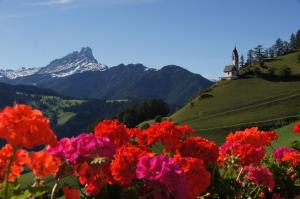 a bunch of flowers on a hill with a church at Miribunghof in La Valle