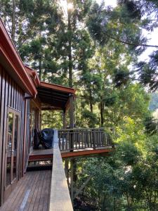 a deck on the side of a house with trees at Cottage in The Woods, Maleny in Maleny