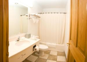 a bathroom with a sink and a toilet at North Country Inn & Suites in Mandan