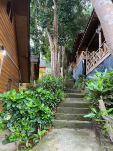 Gallery image of Cozy Resort in Perhentian Island