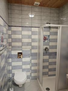 a bathroom with a toilet and a shower at Casa Ninfea Panzió in Cserszegtomaj