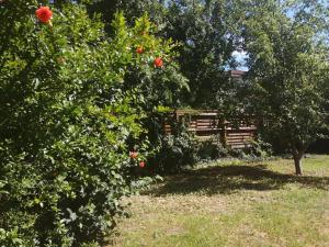 Vonkajšia záhrada v ubytovaní Rákos-patak Family House Garden & Free Parking