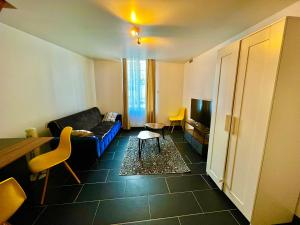 Telewizja i/lub zestaw kina domowego w obiekcie Studios au quartier pavillonnaire rue d Ambert