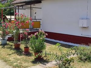 Vonkajšia záhrada v ubytovaní Rákos-patak Family House Garden & Free Parking