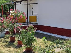 Vonkajšia záhrada v ubytovaní Rákos-patak Family House Garden & Free Parking