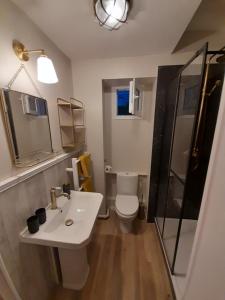 a bathroom with a toilet and a sink and a shower at Gite de la Reine Blanche in Coye-la-Forêt