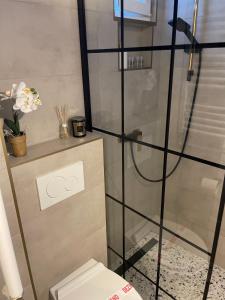 a bathroom with a shower and a toilet at Apartman Vasia Subotica in Subotica