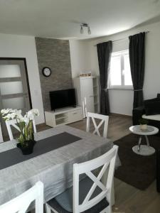 Televízia a/alebo spoločenská miestnosť v ubytovaní Apartment Villa Bijele Stijene
