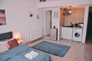 a living room with a bed and a kitchen at Central Park Studio in Onești