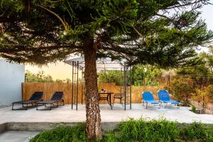 un patio con sillas, una mesa y un árbol en Makarounis Athanasios Traditional Apartments(Ξενώνας), en Petalidi