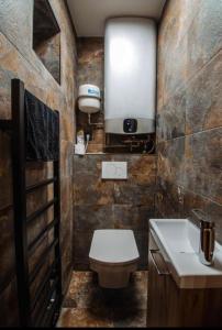 a bathroom with a toilet and a sink at Chata Snežienka in Litmanová