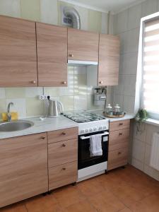 a kitchen with a stove and a sink at Mazeikiai Apartment in Mažeikiai