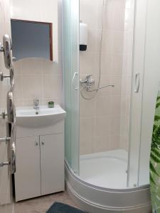 uma casa de banho com um chuveiro e um lavatório. em Mazeikiai Apartment em Mažeikiai