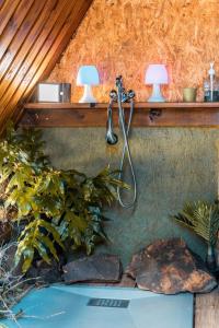 Zahrada ubytování Charmant chalet avec jacuzzi, L'île Ô Vert