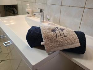 a bathroom sink with two towels on a counter at Gîte Renauvoid, 4 pièces, 6 personnes - FR-1-589-417 in Chantraine