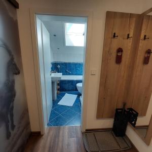 Hotel Garni Malerwinkl في باد هينديلانغ: حمام مع دش ومرحاض ومغسلة