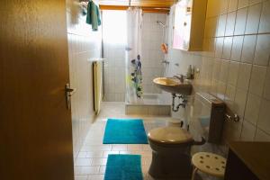 uma casa de banho com WC, lavatório e tapetes azuis em Ferienwohnung Groß Laichingen em Laichingen