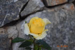 Mynd úr myndasafni af Citadel Lindula í Lindula