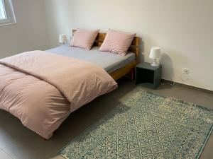 een slaapkamer met een bed met 2 kussens en een tapijt bij Appartamento 3.5 Camorino-Vigana in Camorino