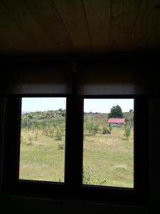Táj az apartman közelében