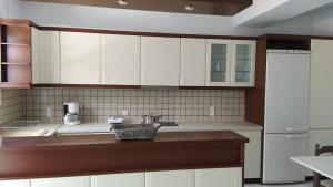 Kuchyňa alebo kuchynka v ubytovaní SunSea Apartment