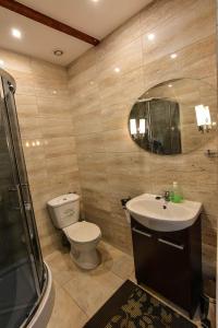 a bathroom with a toilet and a sink and a mirror at POKUSA Noclegi in Przewóz +44 photos