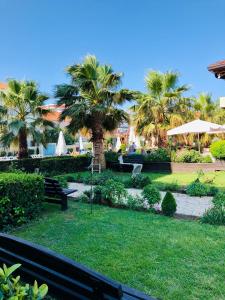 un parque con palmeras y un banco. en Godija Hotel & Suites, en Velipojë