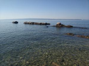 Príroda v okolí apartmánu