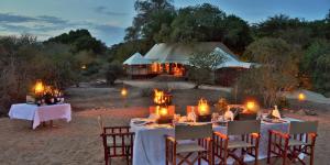Fotografie z fotogalerie ubytování Hamiltons Tented Camp v destinaci Mluwati Concession 