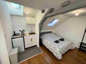 Dormitorio pequeño con cama y lavamanos en Hyper centre ville STUDIO, en Angers