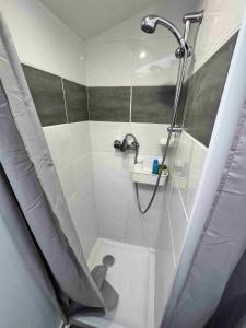 baño pequeño con ducha y lavamanos en Hyper centre ville STUDIO, en Angers