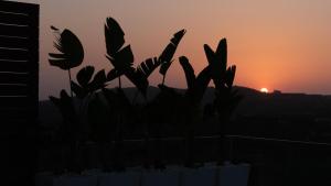 The sunrise or sunset as seen from A villát or nearby