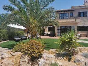 una casa con una palmera en el patio en Stunning 3 bed Golf Villa sleeps 6 - large garden & communal pool en Fuente Alamo