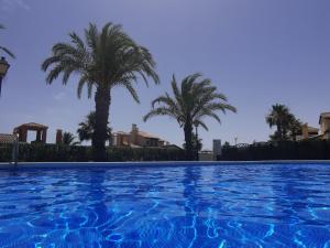 una piscina con palmeras en el fondo en Stunning 3 bed Golf Villa sleeps 6 - large garden & communal pool en Fuente Alamo