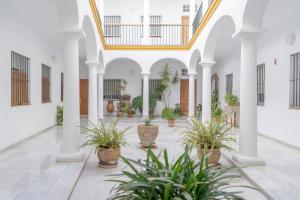 Fotografie z fotogalerie ubytování LOFT SÚPER LUMINOSO EN EL CENTRO DEL PUERTO DE SANTA MARÍA. v destinaci El Puerto de Santa María