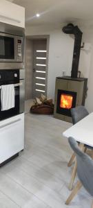 a kitchen with a stove and a fireplace at Chata u kolára in Malatiná