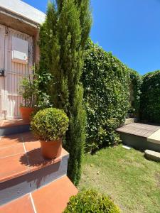 a garden with two potted plants on a wooden deck at Casa de Santo Amaro in Vila do Conde