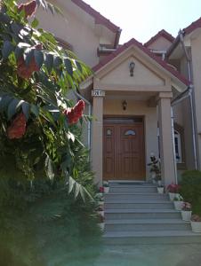 a house with a brown door and stairs at Casa Andrei in Haţeg