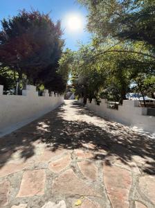 un camino de piedra con árboles y una pared blanca en Vieri apartments, en Lukovë