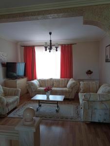 a living room with two couches and a table at Casa Andrei in Haţeg