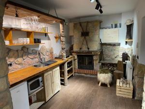 una cocina con chimenea de piedra y un gato caminando por ahí en Prestige Apartament z sauna Zbojnicka Piwnica Krupowki en Zakopane