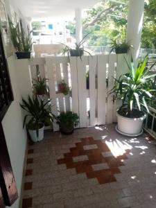 Rõdu või terrass majutusasutuses Apartments Vuk&Jovan