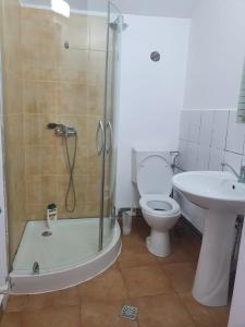 y baño con ducha, aseo y lavamanos. en Casa Ana en Cluj-Napoca