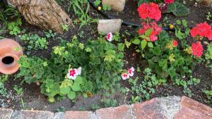 A garden outside L'Antico Borgo