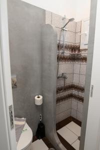 a small bathroom with a shower with a toilet at Lakki Village in Aegiali