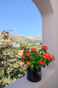 a black pot with red flowers on a window sill at Lakki Village in Aegiali